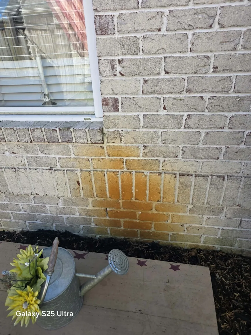 Brick before stain removal