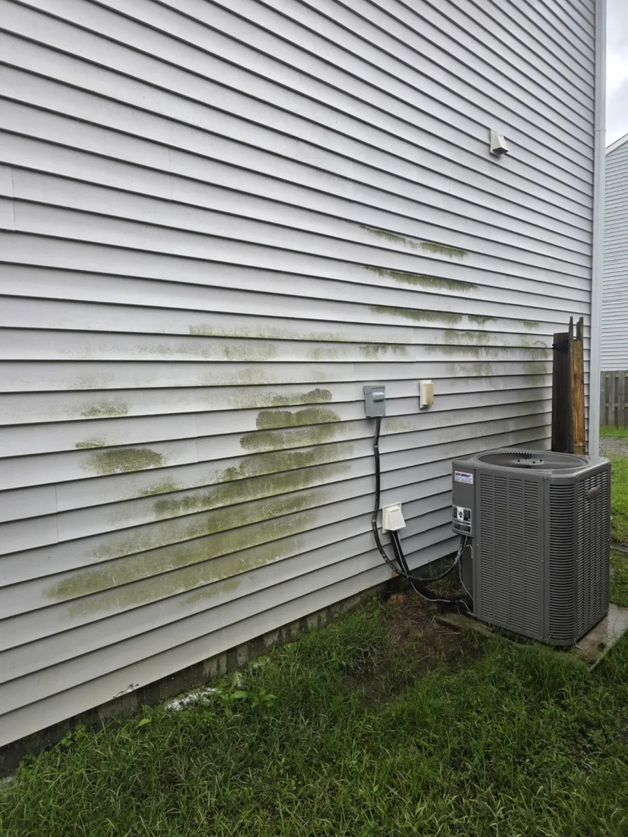 Siding with algae before washing